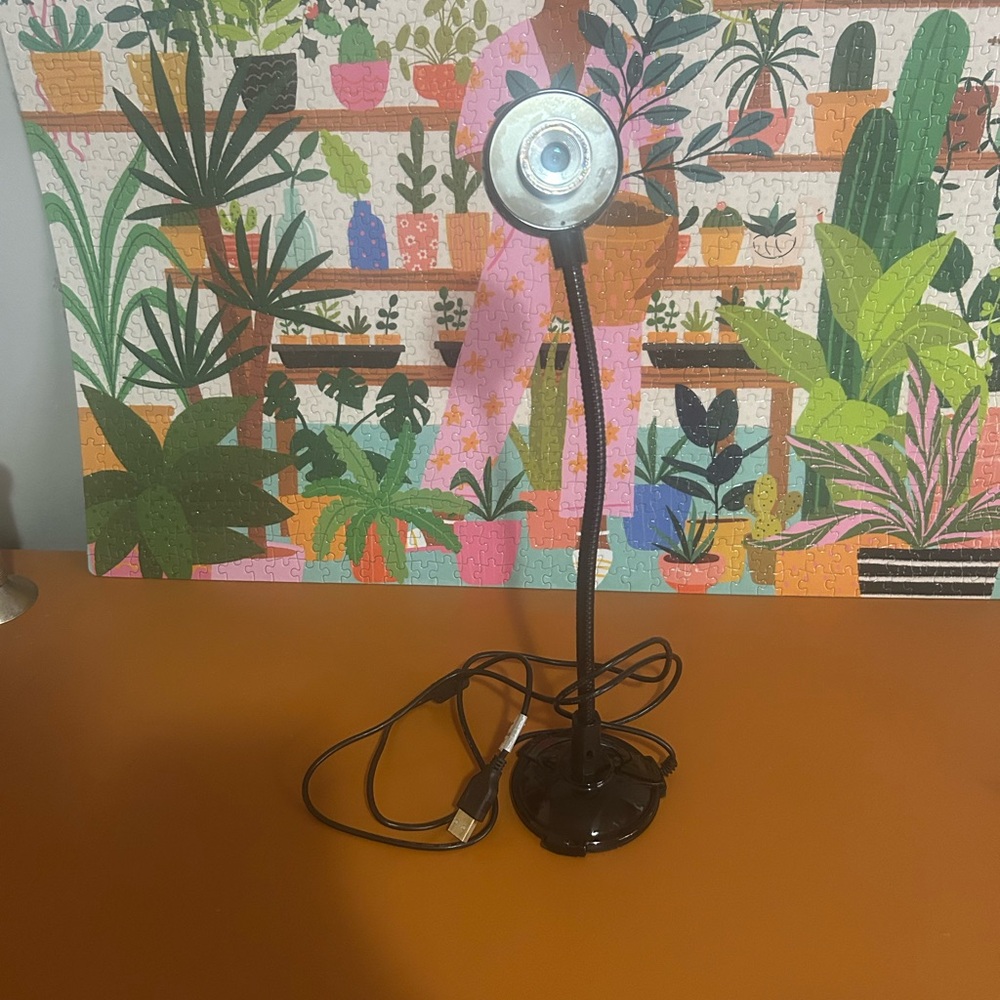 Black Flexible External Web Camera